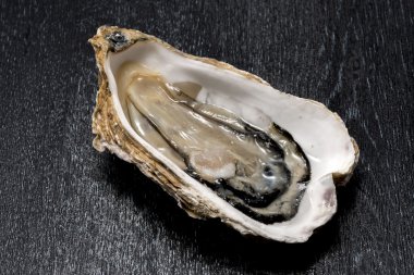 İstiridye Kabuğu Deniz Ürünleri